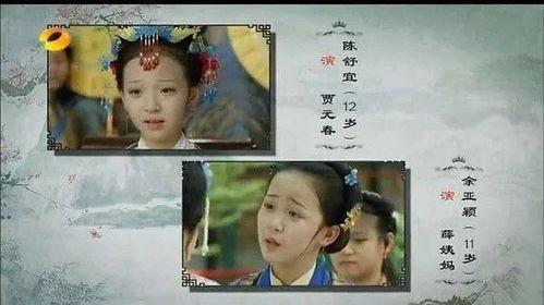 小戏骨红楼梦在线观看,再现经典，童声演绎贾府风云