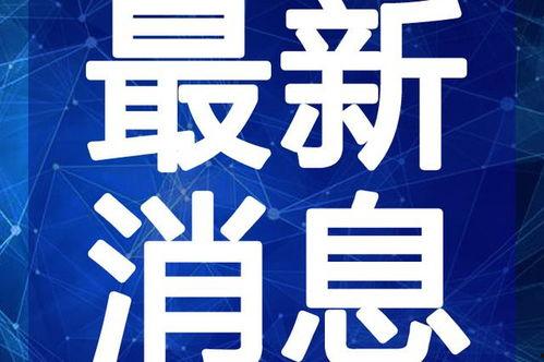 陈大锤最新爆料新闻视频,最新爆料新闻视频深度解析