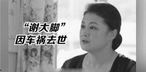 娱乐圈的吃瓜影帝 免费